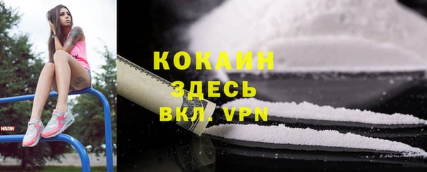 молекула духа Навашино
