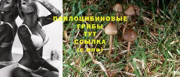 молекула духа Навашино